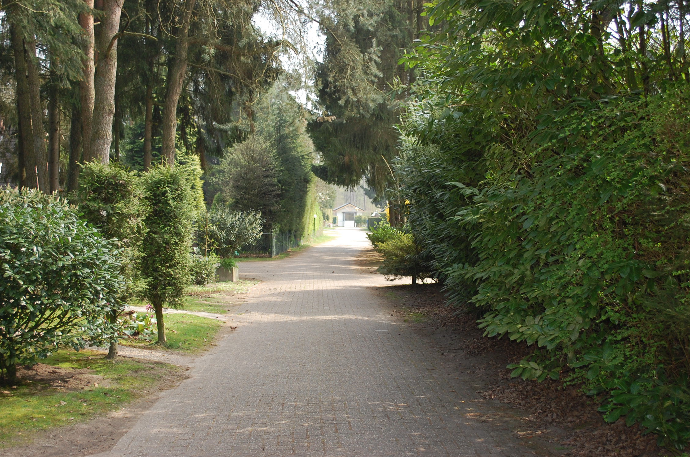 GEEN NAAM IN OUDE DATABASE