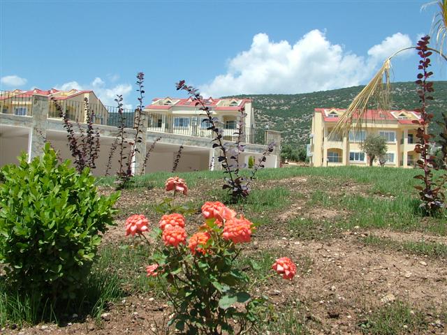 GEEN NAAM IN OUDE DATABASE