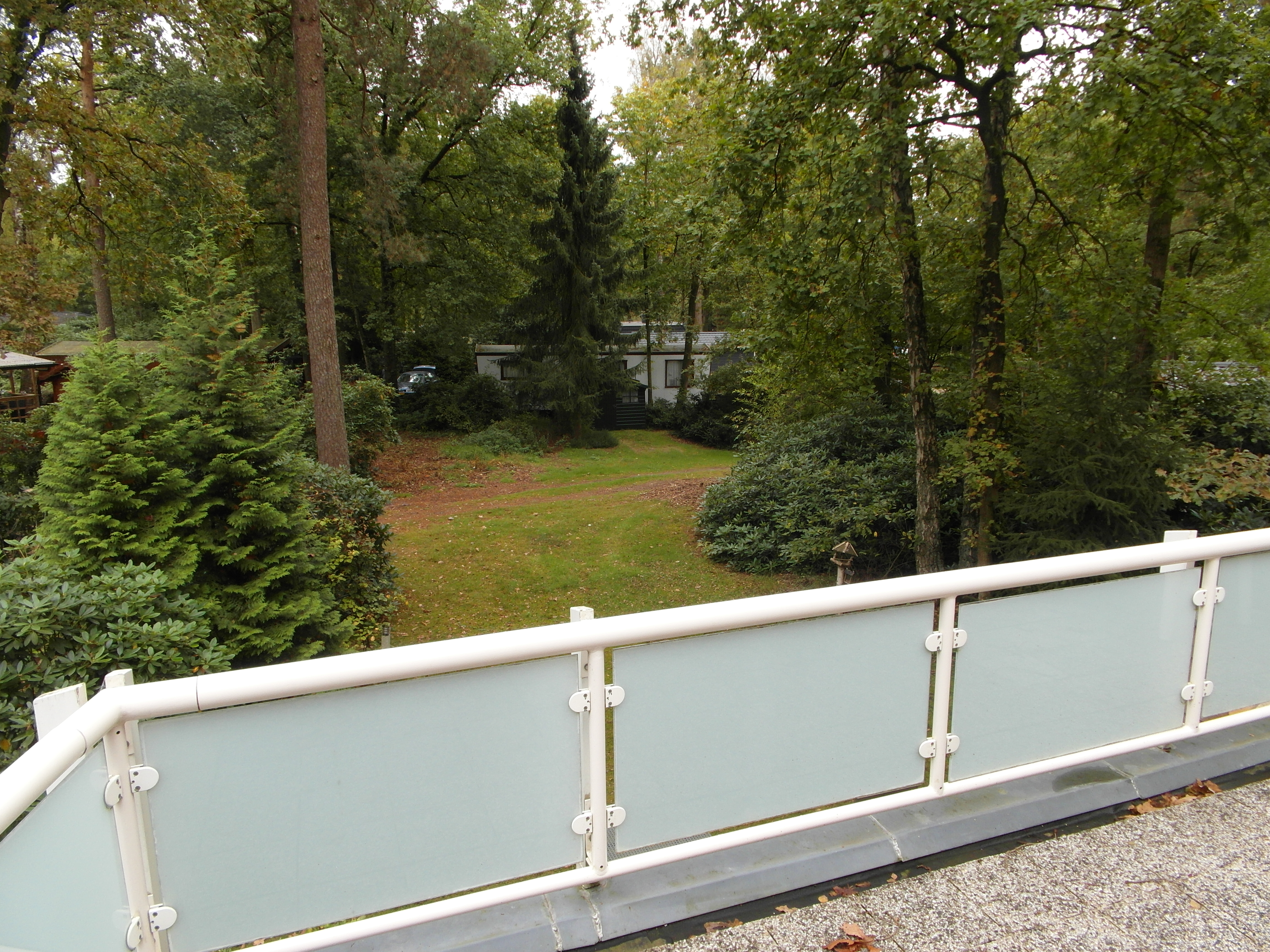 GEEN NAAM IN OUDE DATABASE