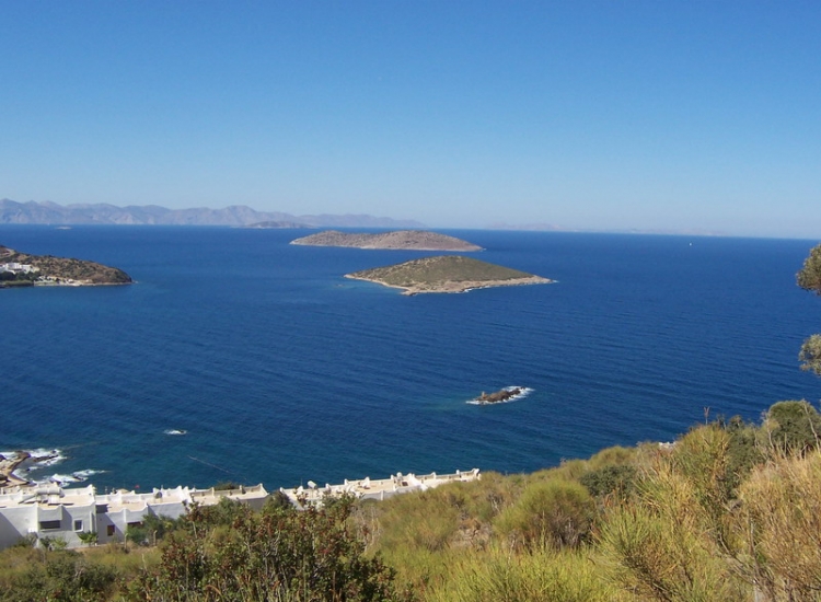 GEEN NAAM IN OUDE DATABASE