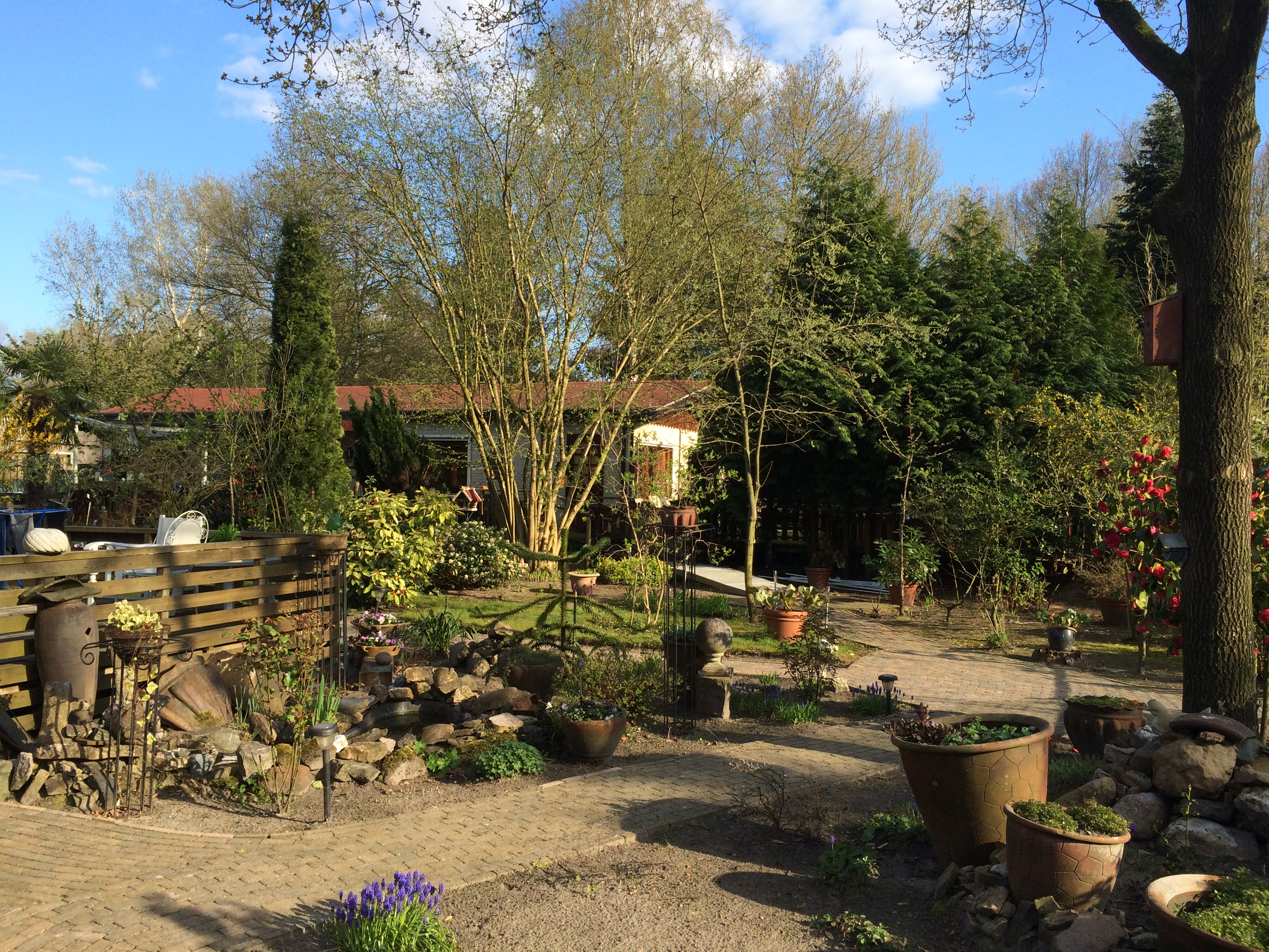 GEEN NAAM IN OUDE DATABASE