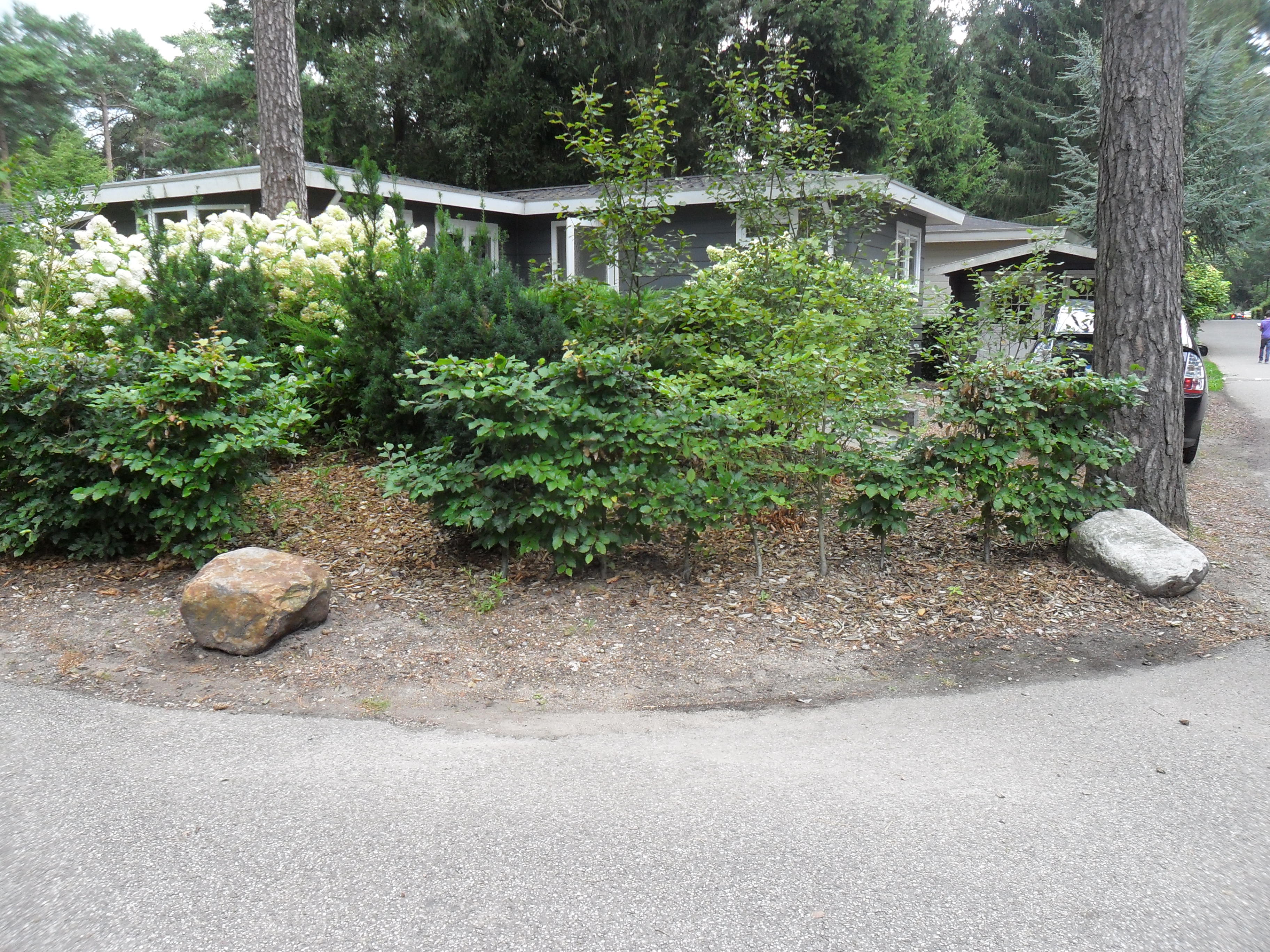 GEEN NAAM IN OUDE DATABASE