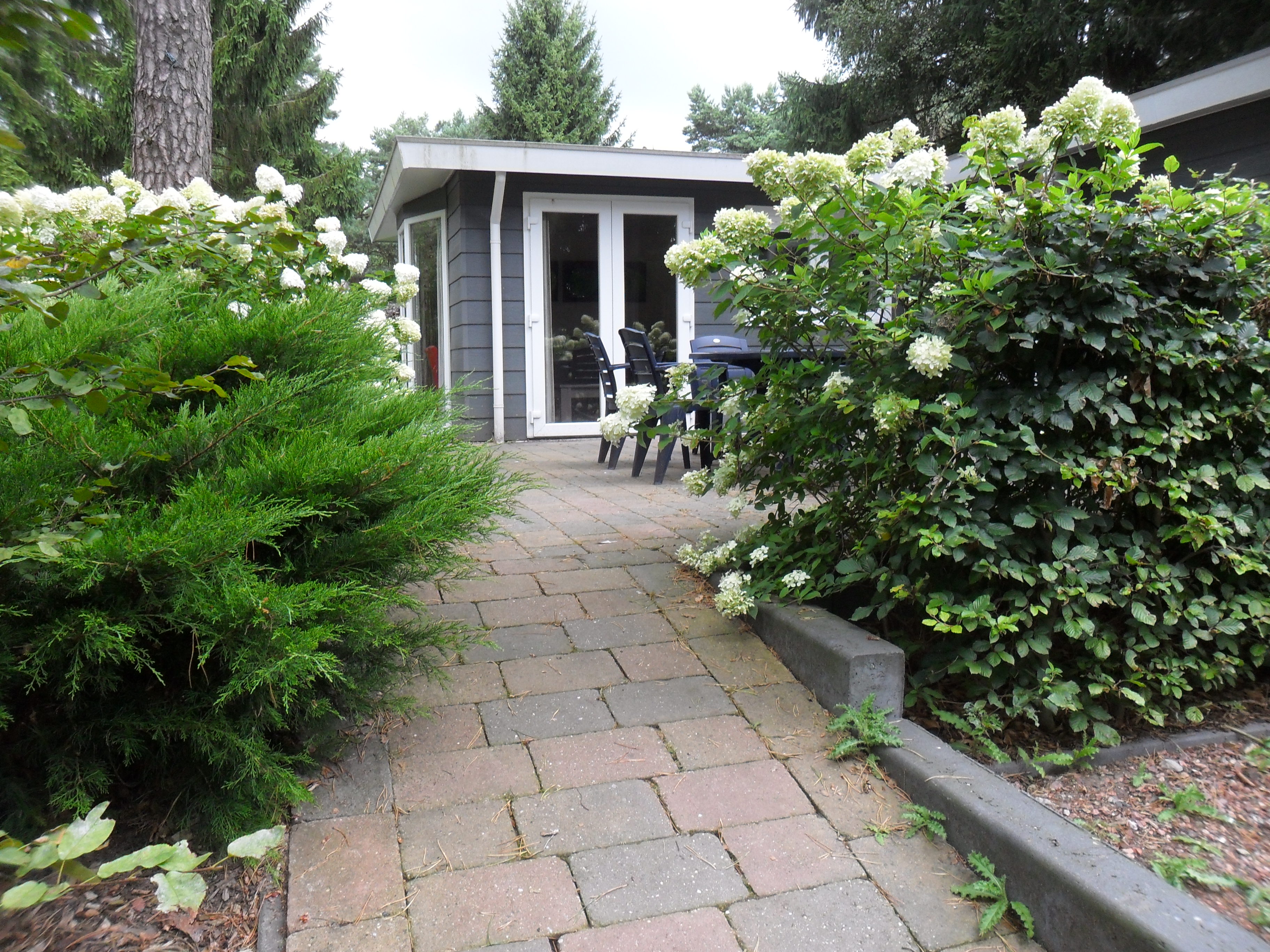 GEEN NAAM IN OUDE DATABASE