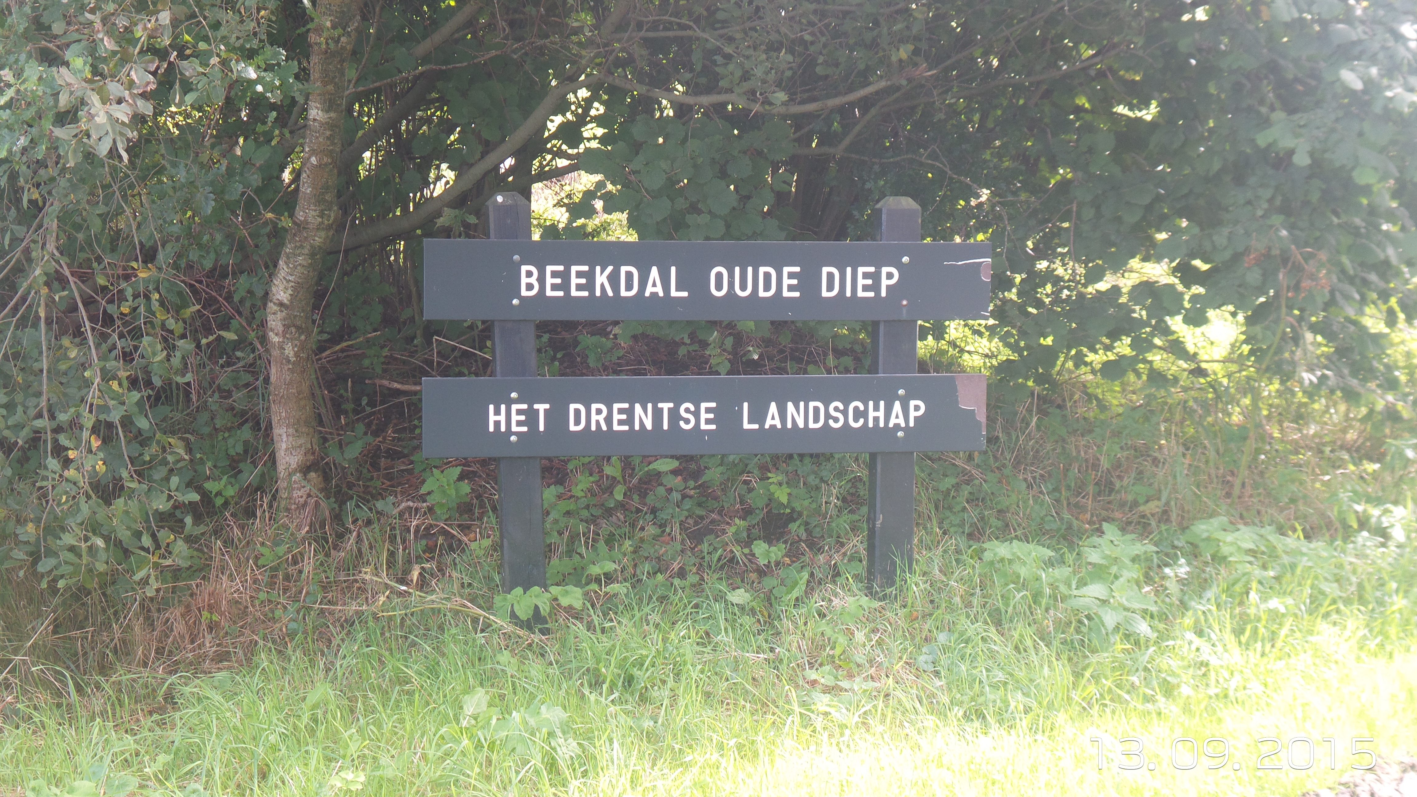 GEEN NAAM IN OUDE DATABASE