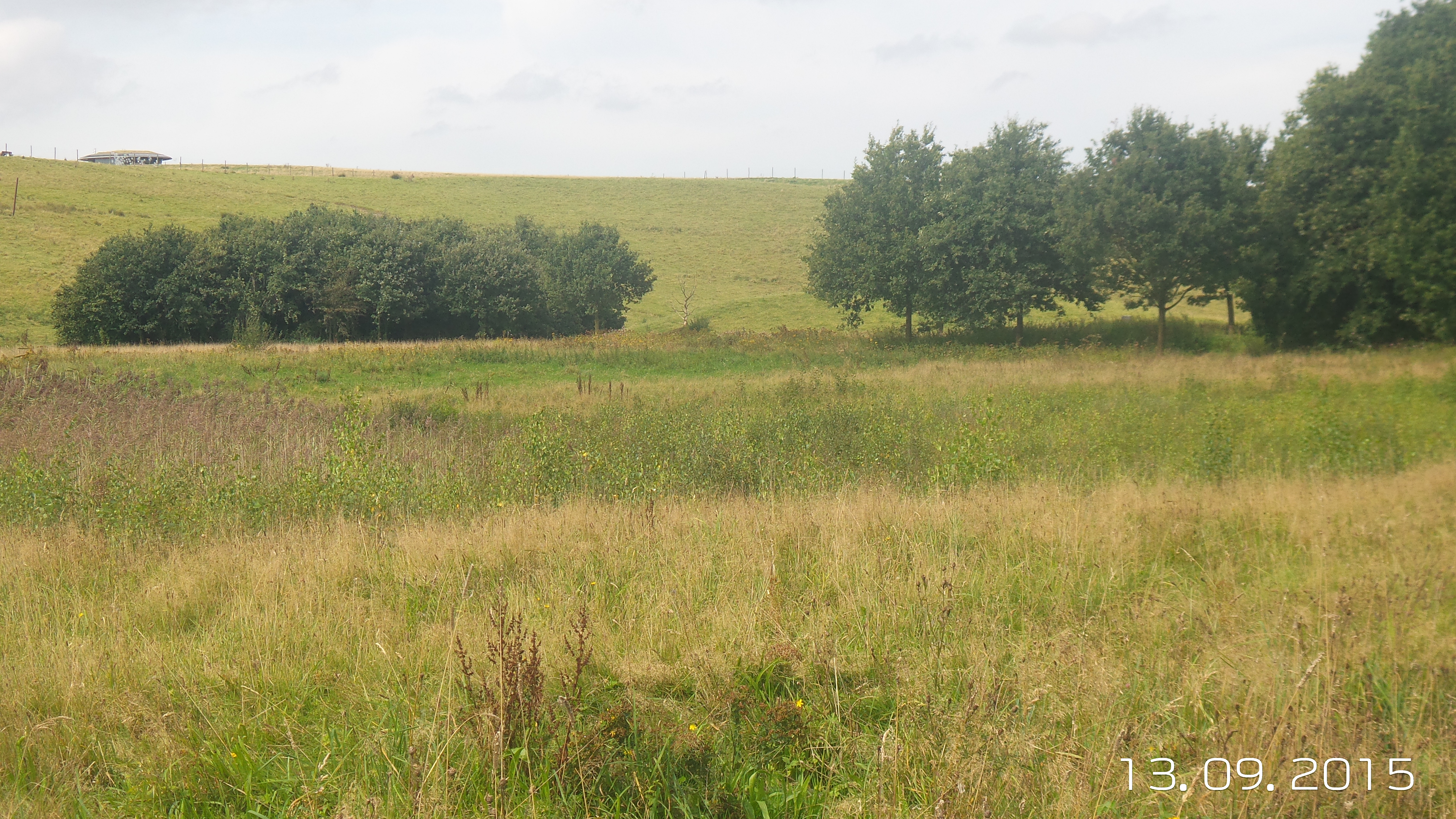 GEEN NAAM IN OUDE DATABASE