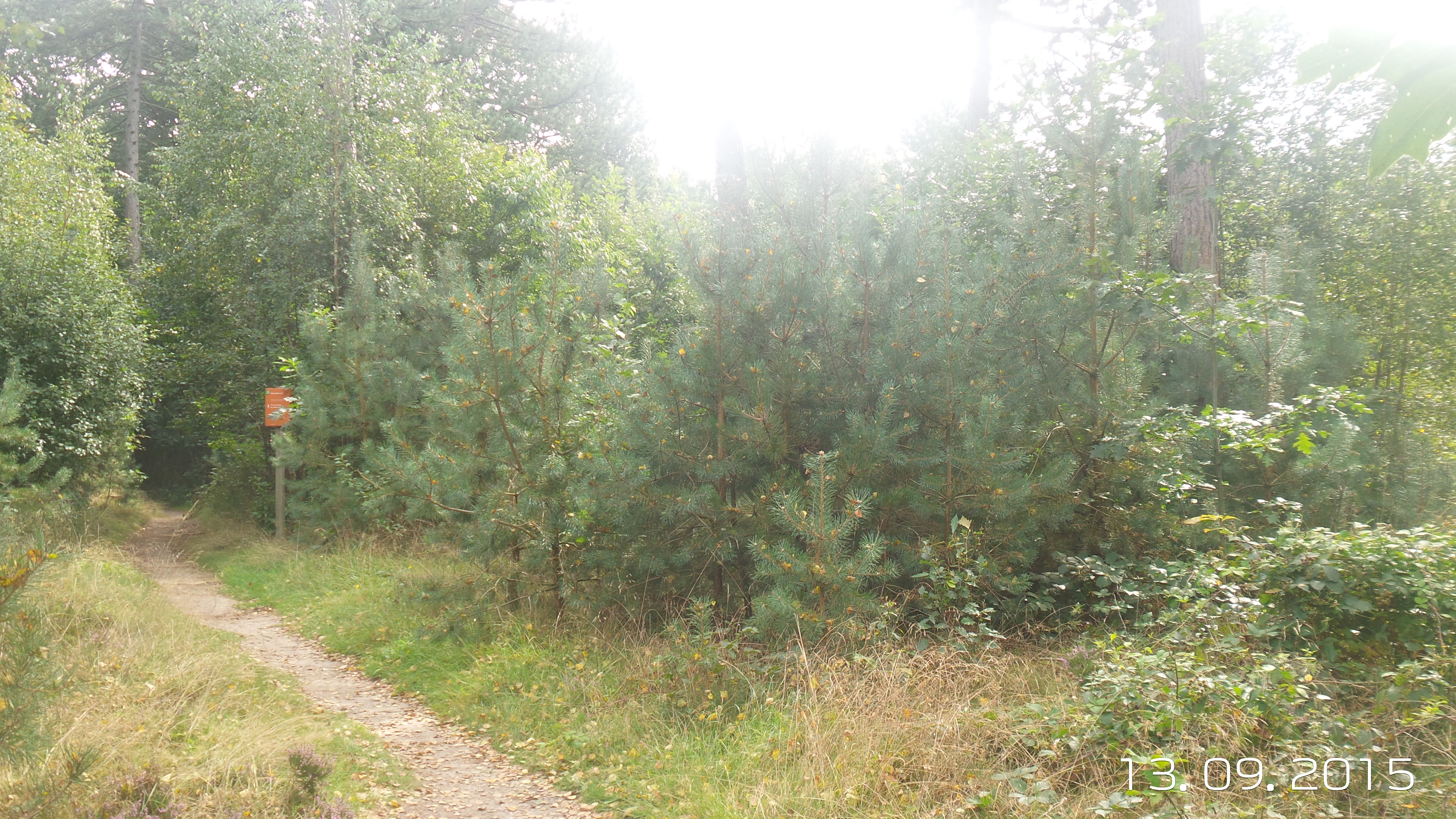 GEEN NAAM IN OUDE DATABASE