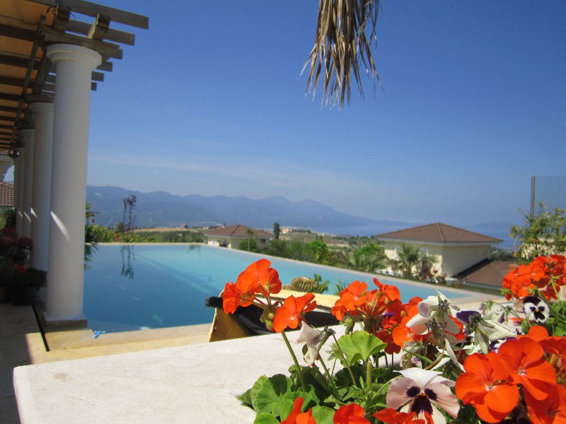 GEEN NAAM IN OUDE DATABASE