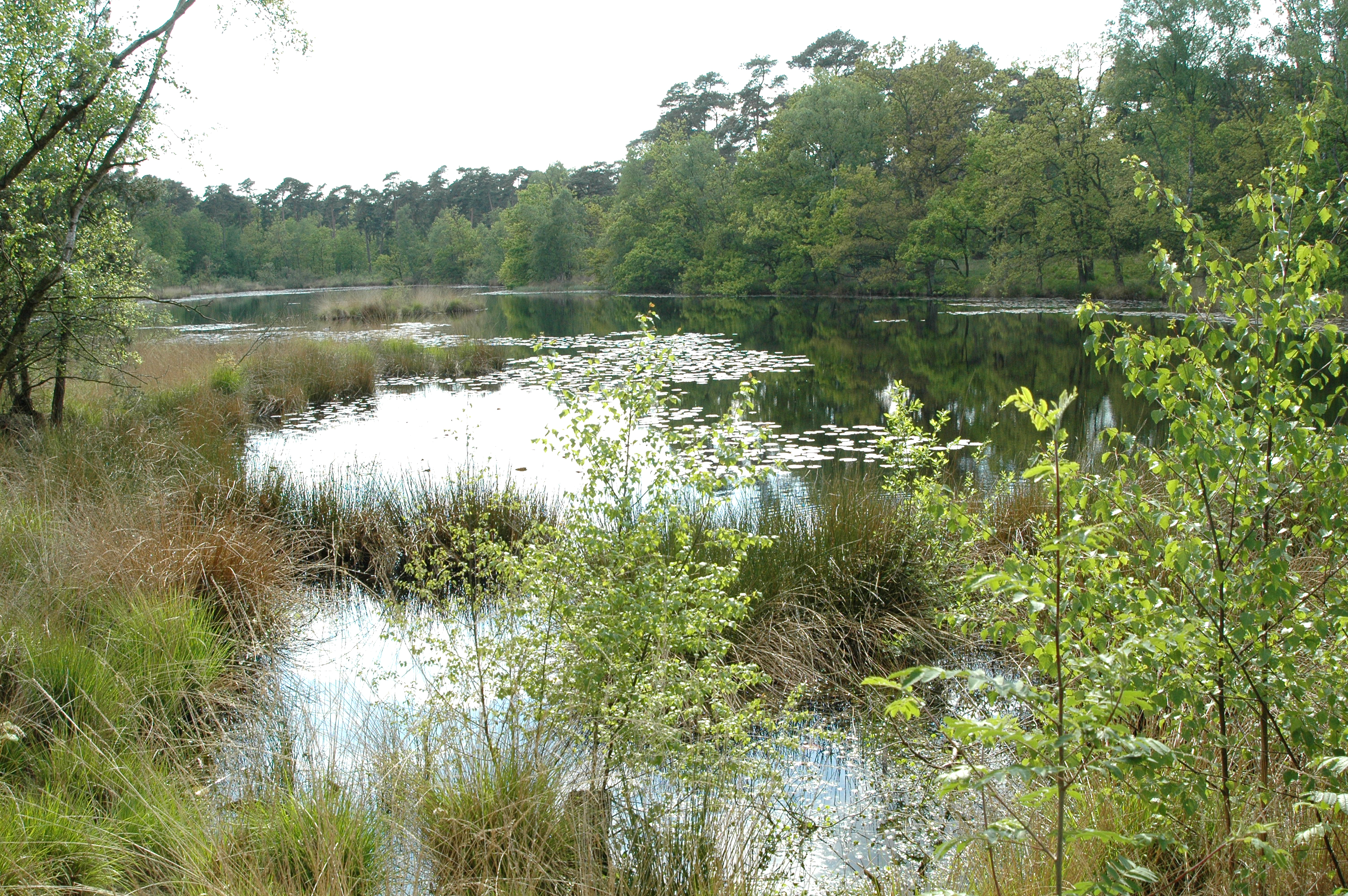 GEEN NAAM IN OUDE DATABASE