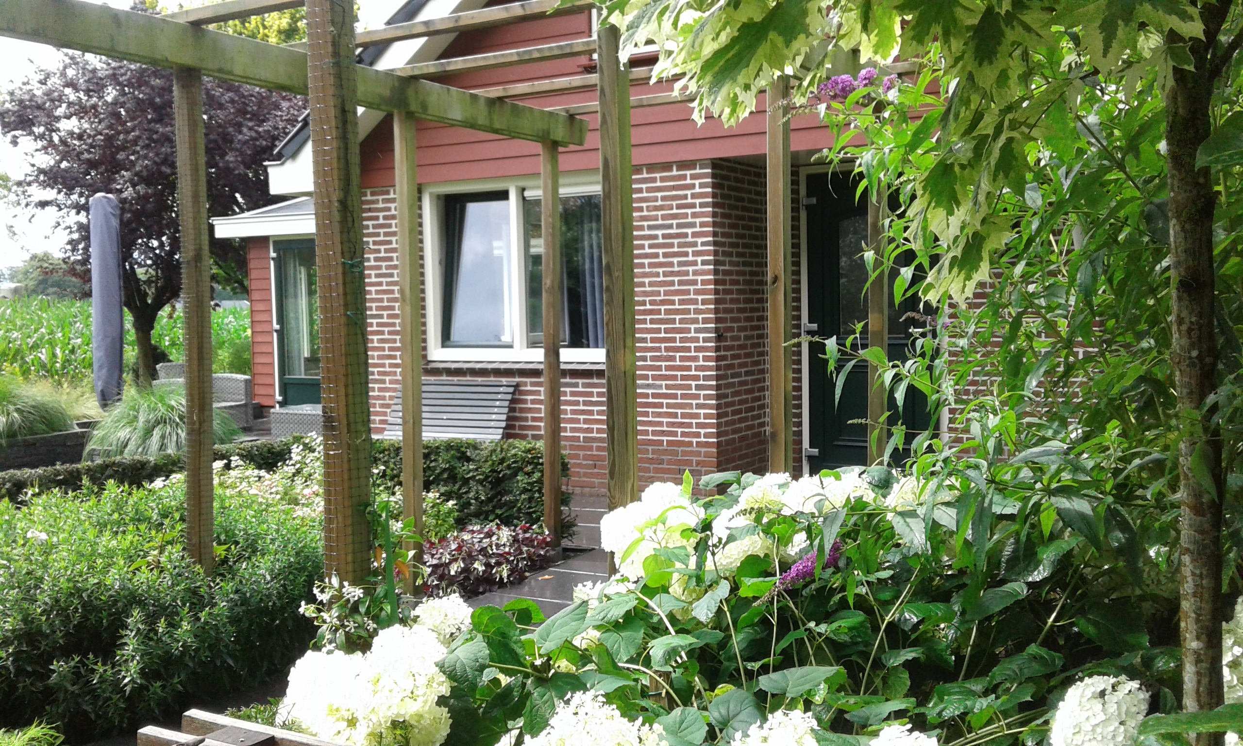 GEEN NAAM IN OUDE DATABASE