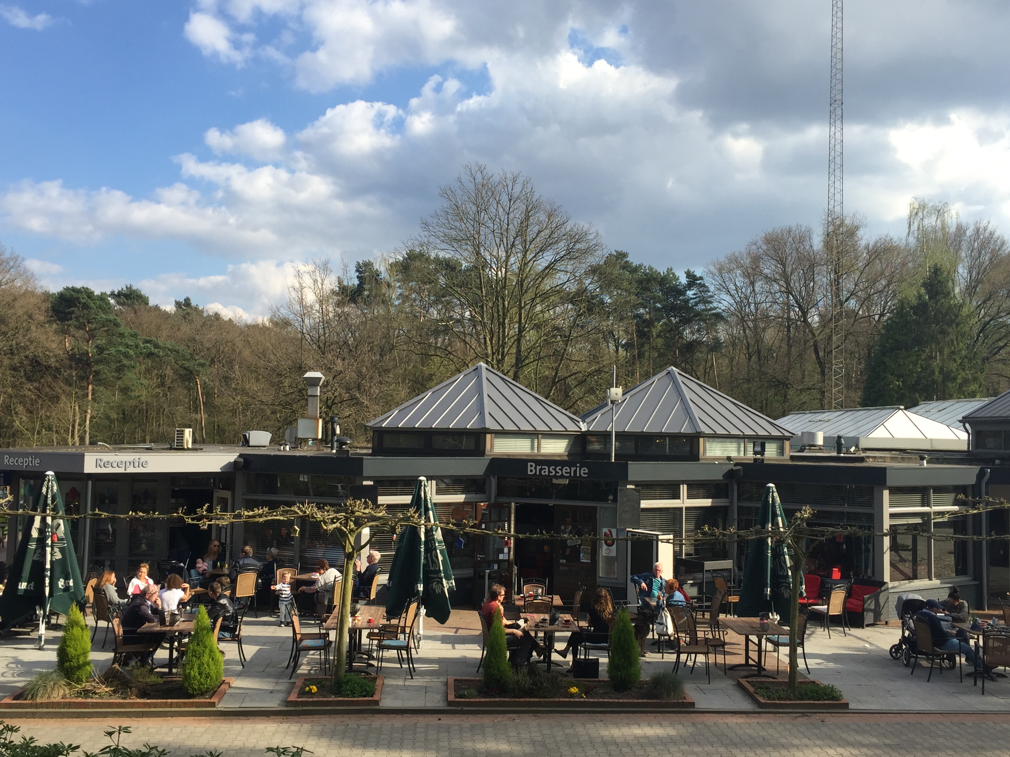 GEEN NAAM IN OUDE DATABASE