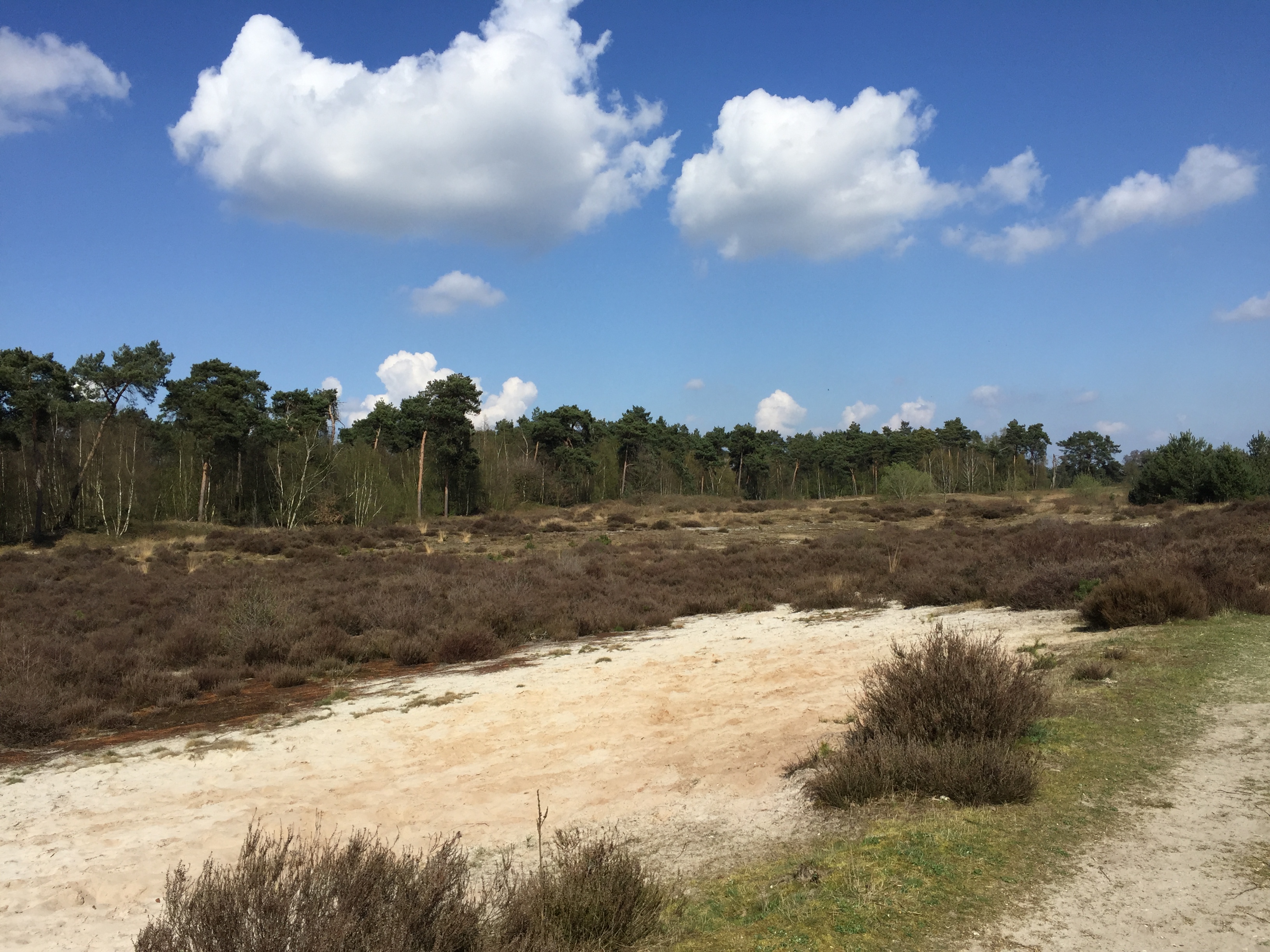 GEEN NAAM IN OUDE DATABASE