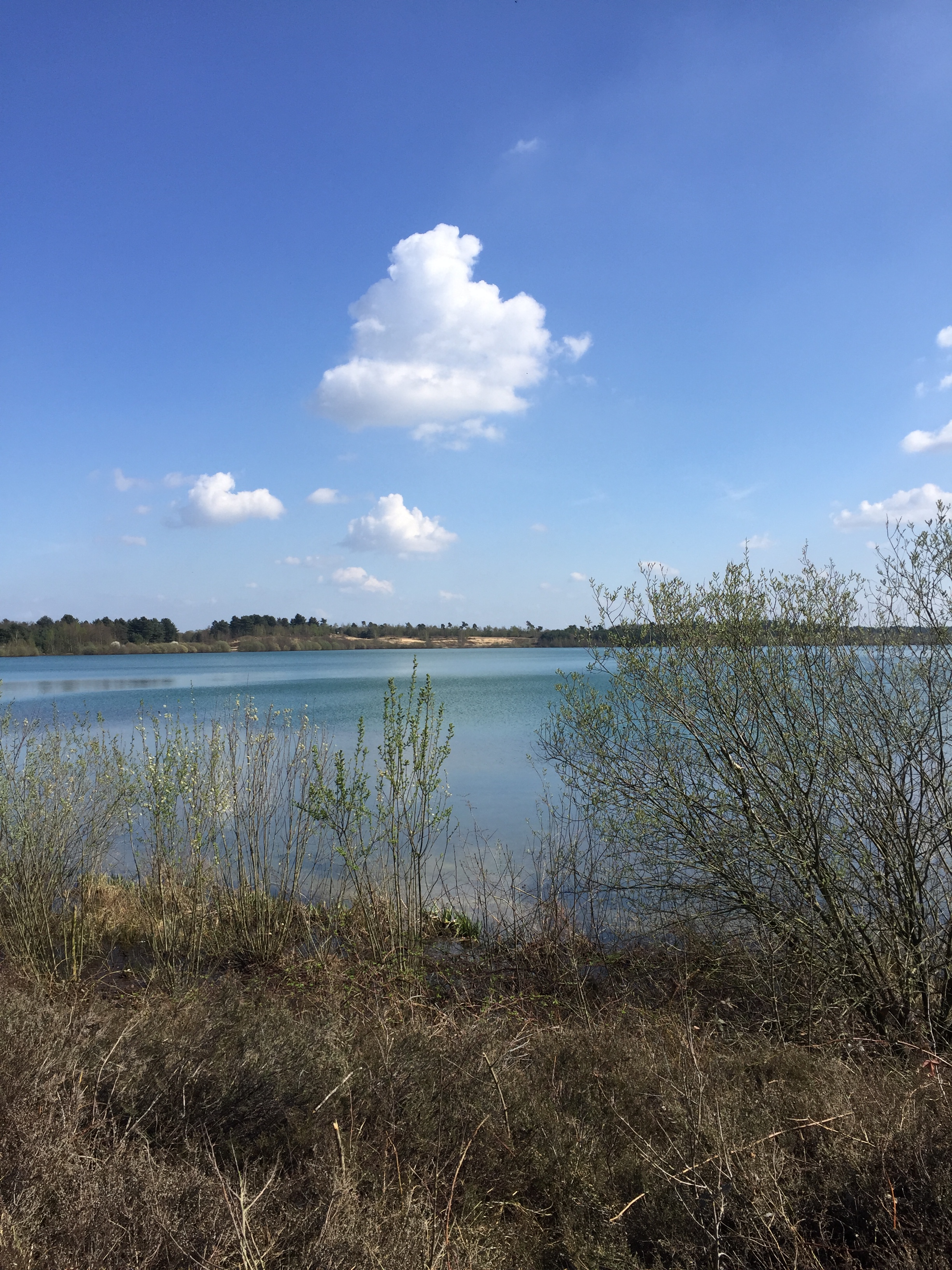 GEEN NAAM IN OUDE DATABASE