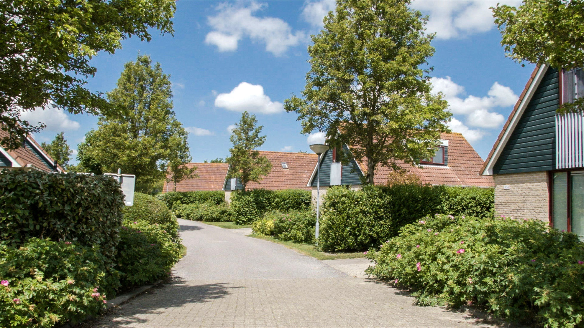 GEEN NAAM IN OUDE DATABASE