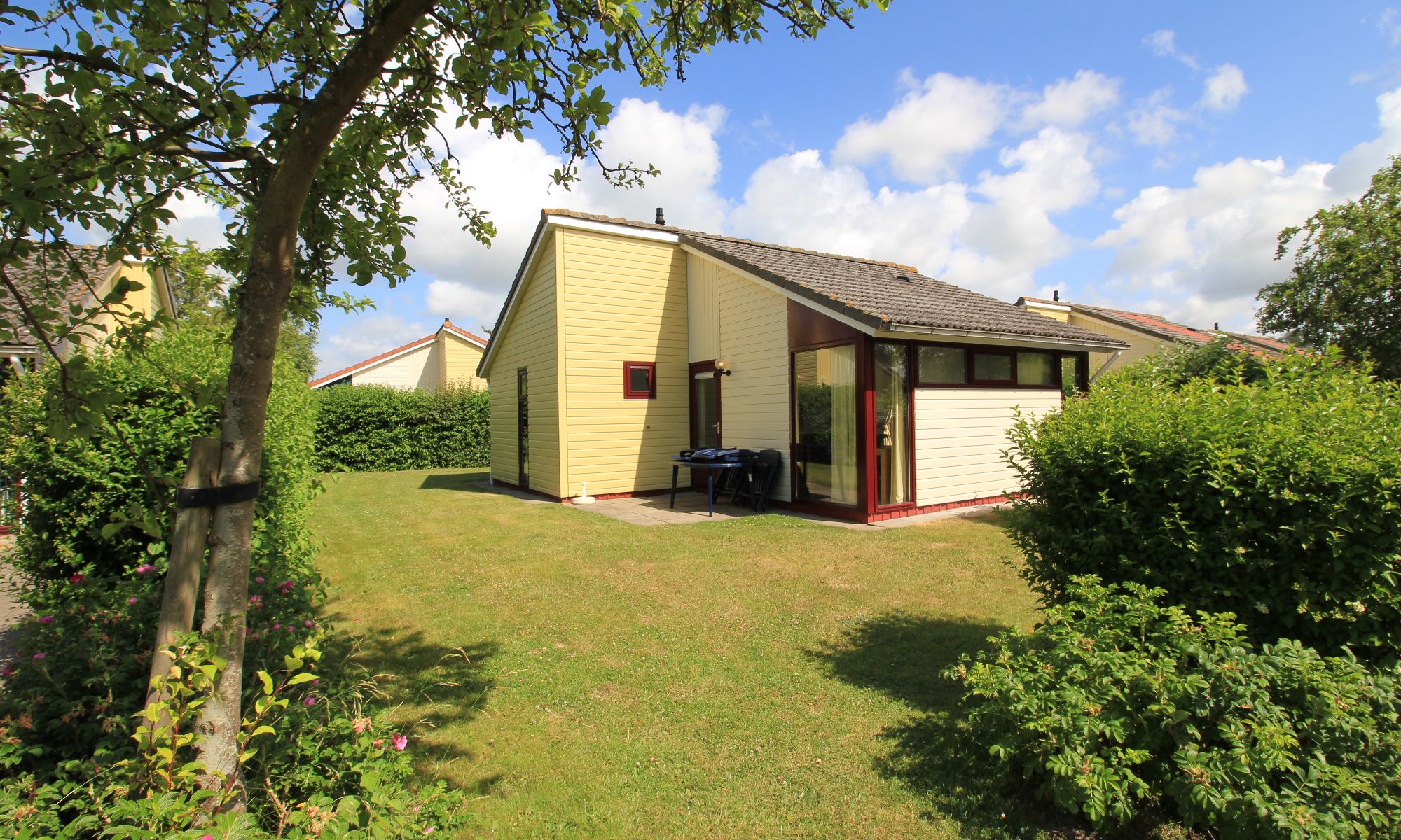 GEEN NAAM IN OUDE DATABASE