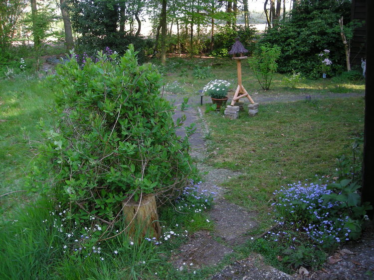 GEEN NAAM IN OUDE DATABASE