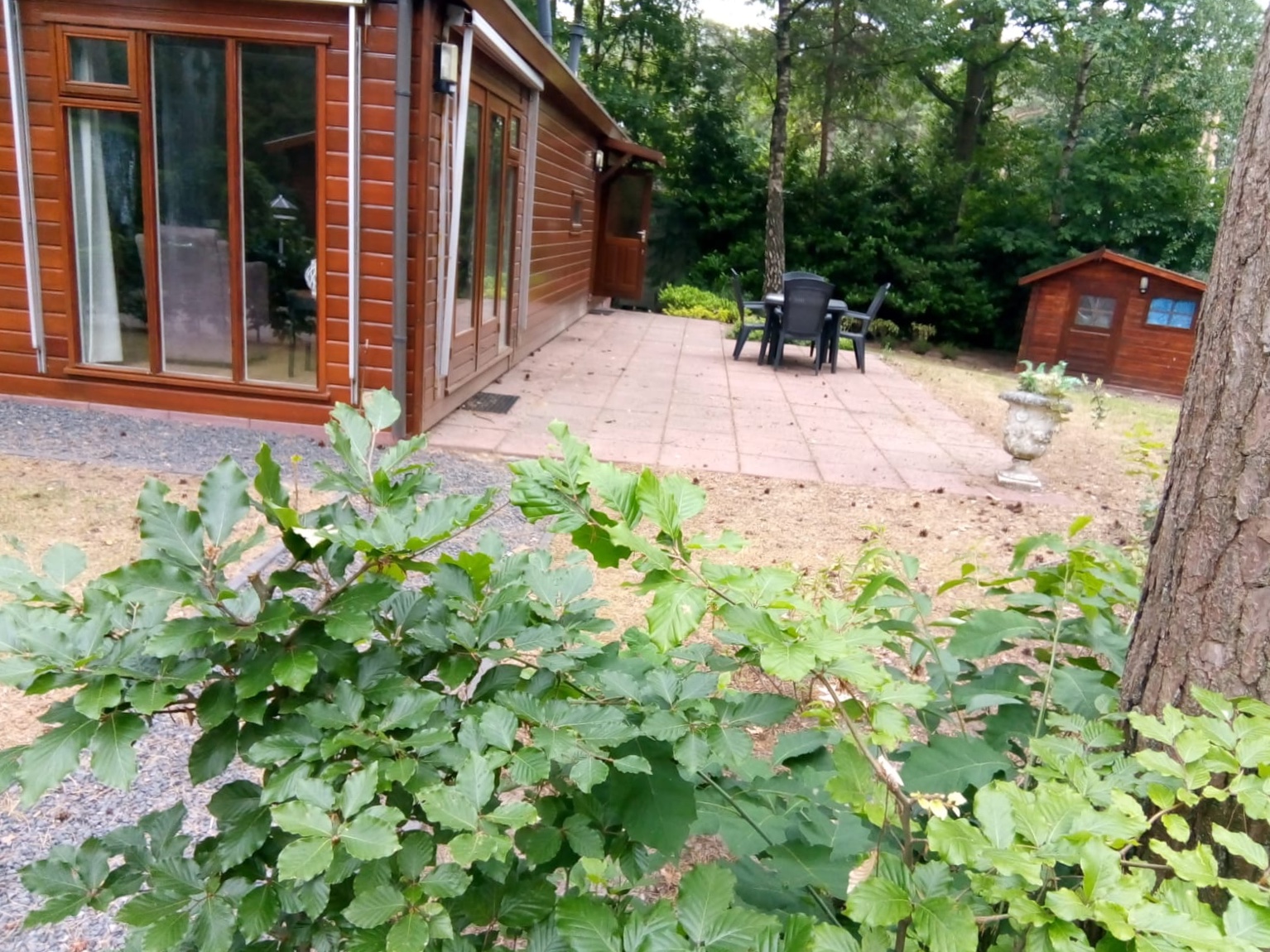 GEEN NAAM IN OUDE DATABASE