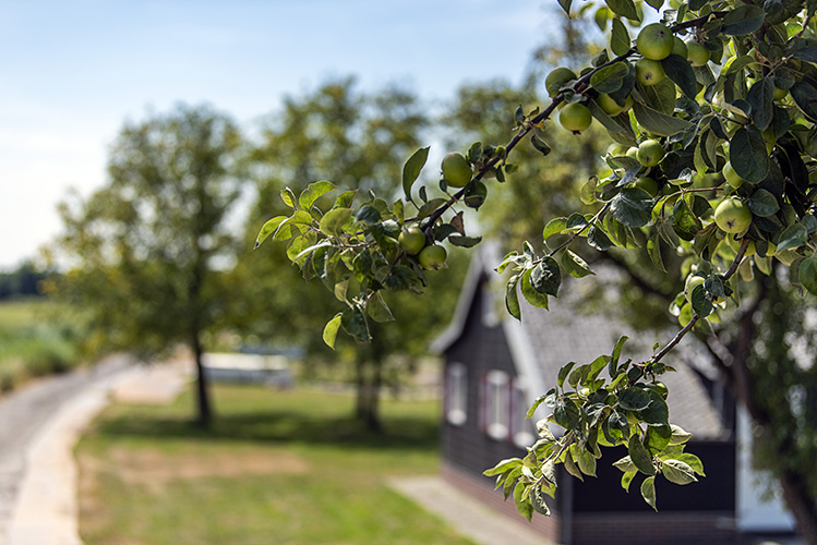 GEEN NAAM IN OUDE DATABASE