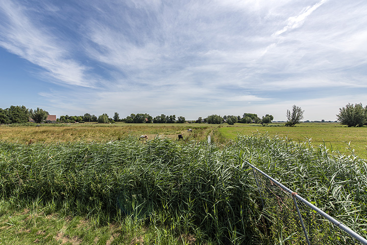 GEEN NAAM IN OUDE DATABASE