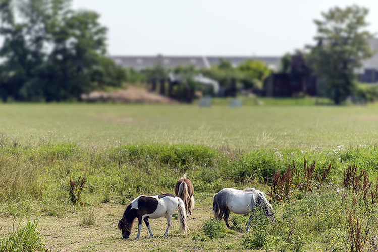 GEEN NAAM IN OUDE DATABASE