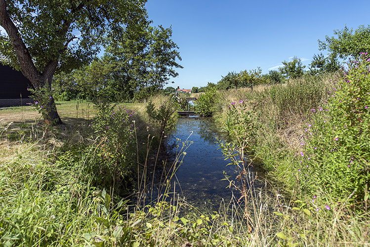 GEEN NAAM IN OUDE DATABASE