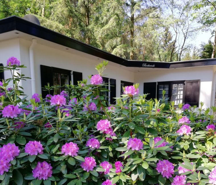 Vakantiehuis Borkerode