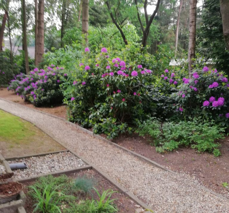 Vakantiehuis Borkerode