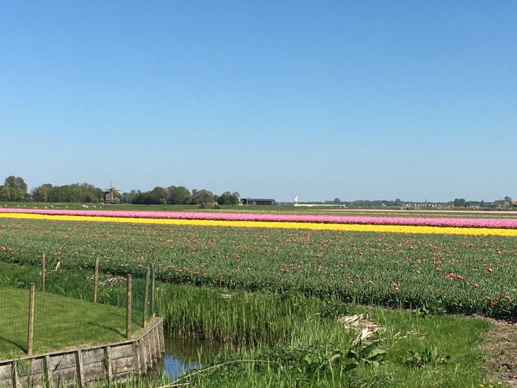GEEN NAAM IN OUDE DATABASE