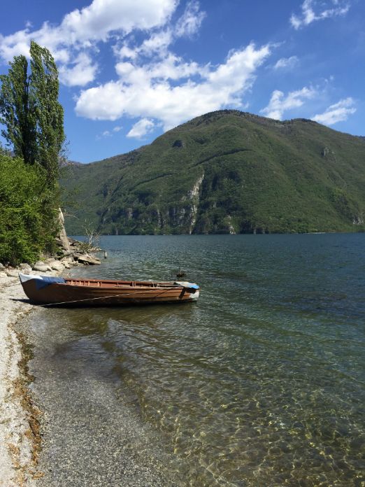 GEEN NAAM IN OUDE DATABASE