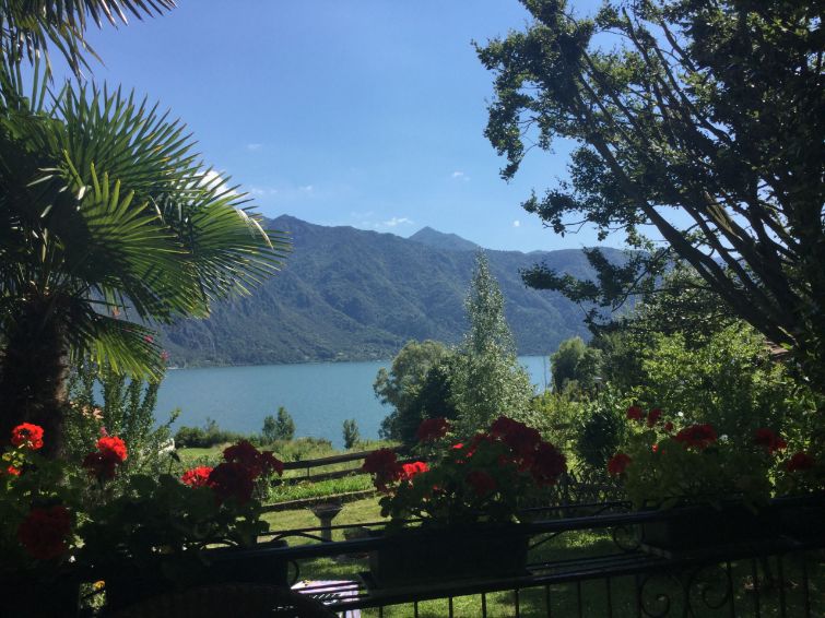 GEEN NAAM IN OUDE DATABASE