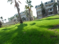 GEEN NAAM IN OUDE DATABASE