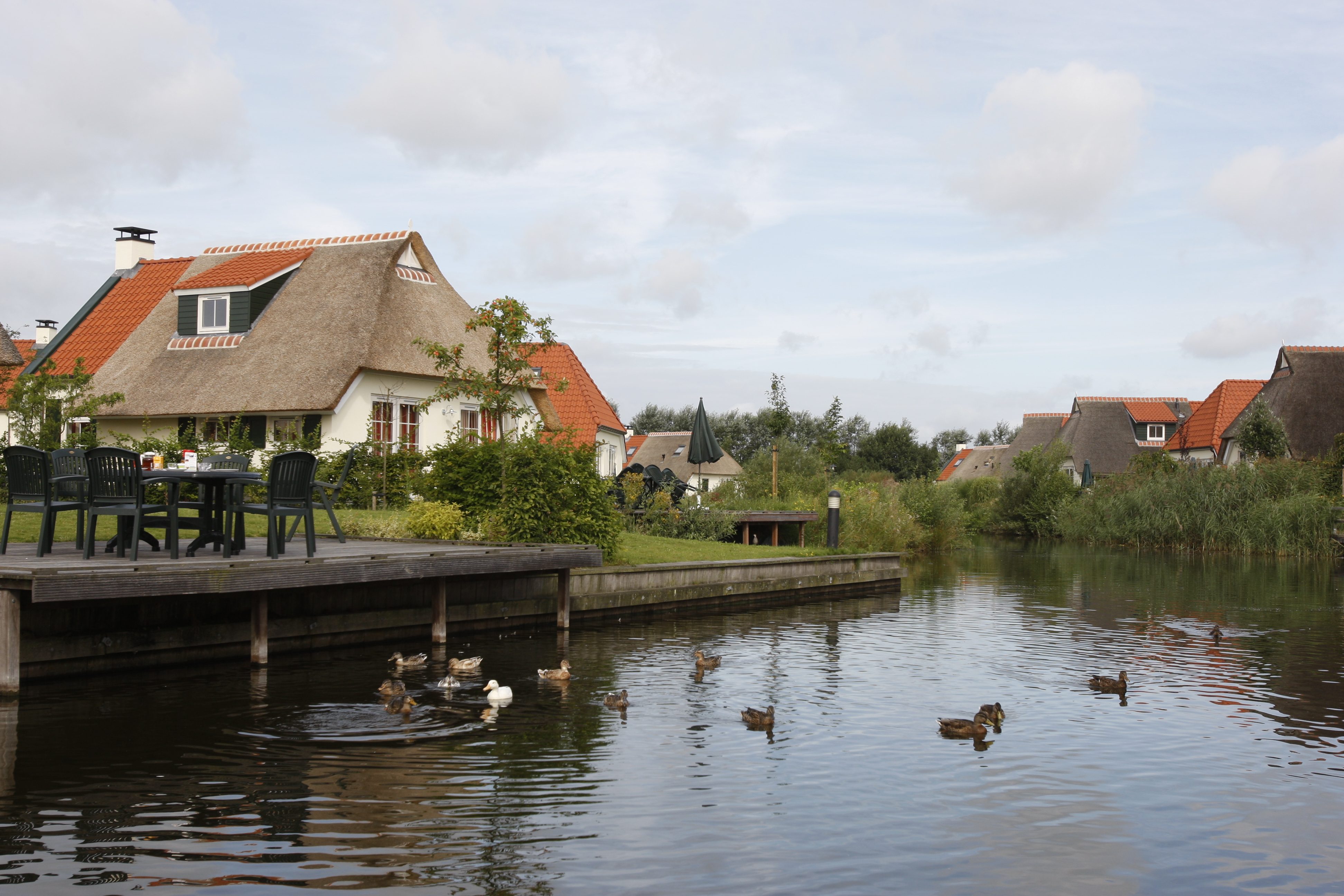 GEEN NAAM IN OUDE DATABASE