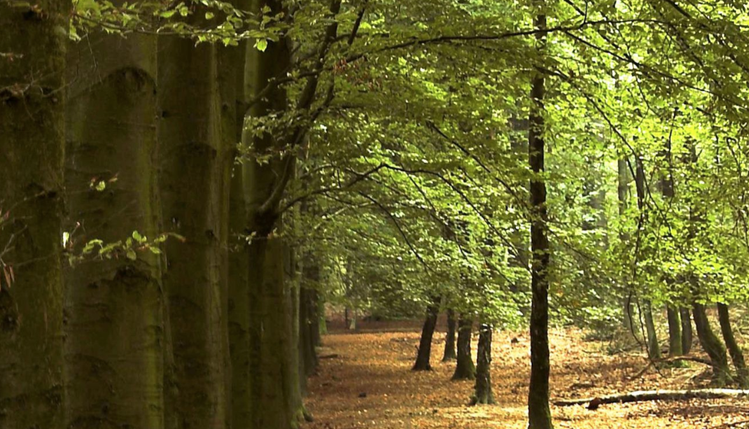 "Het Zilven" te Loenen op de Veluwe Gelderland bij Apeldoorn