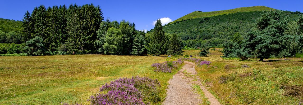 Auvergne