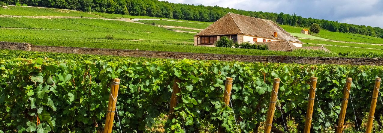 Bourgogne