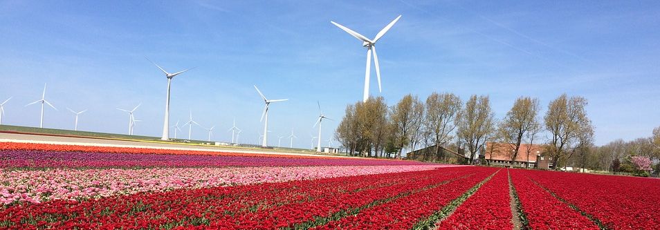 Flevoland