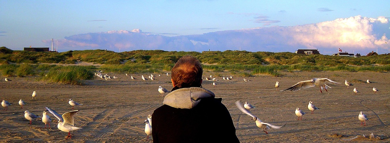 Nordsee