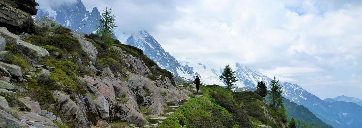 Zuid Alpen